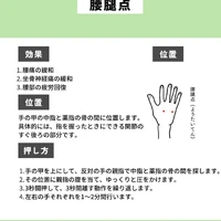 画像277